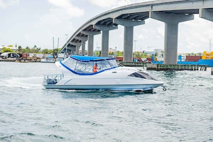 Cruise Ship Travellers Bahamas via Boat Semi-sub Glassbottom