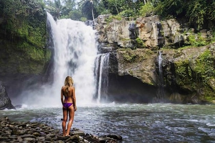 Ubud: Tegenungan Waterfall, Snorkeling, and Canyoning Tour
