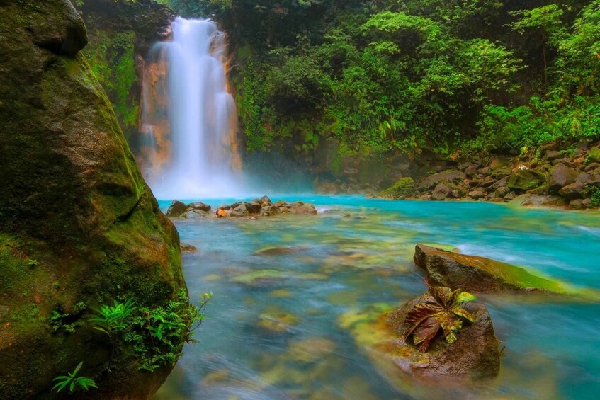 Picture 1 for Activity From La Fortuna: Rio Celeste Full-Day Tour