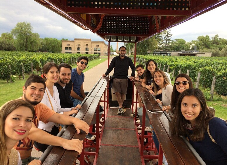 Mendoza: Winebike Tasting Tour with Optional Lunch