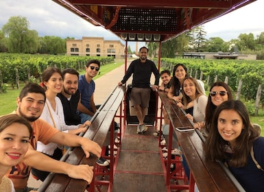 Mendoza: tour de degustación en bicicleta de vino con almuerzo opcional