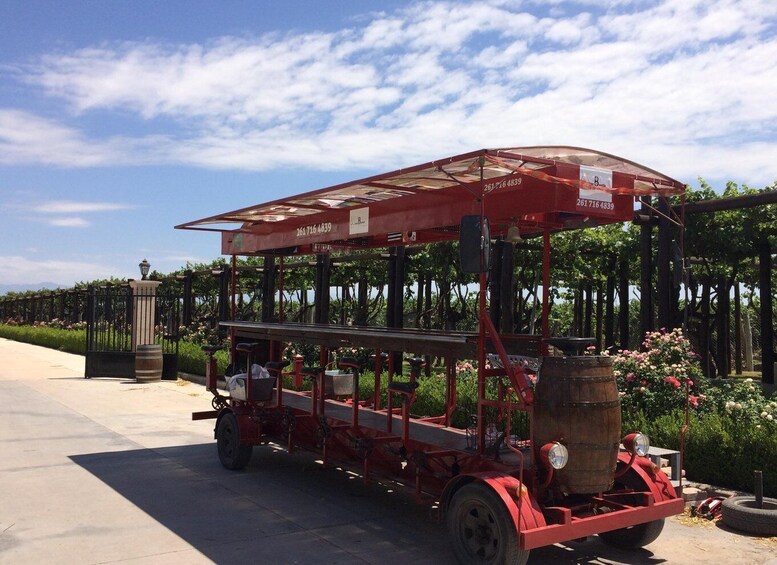 Picture 2 for Activity Mendoza: Winebike Tasting Tour with Optional Lunch