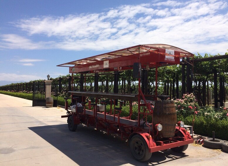 Picture 2 for Activity Mendoza: Winebike Tasting Tour with Optional Lunch