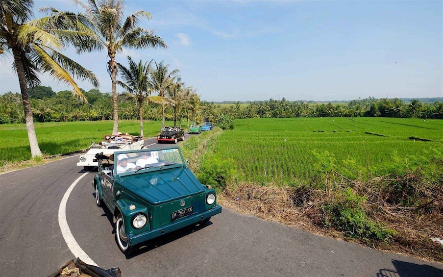 Picture 3 for Activity Bali: Vintage VW Jeep Countryside Safari