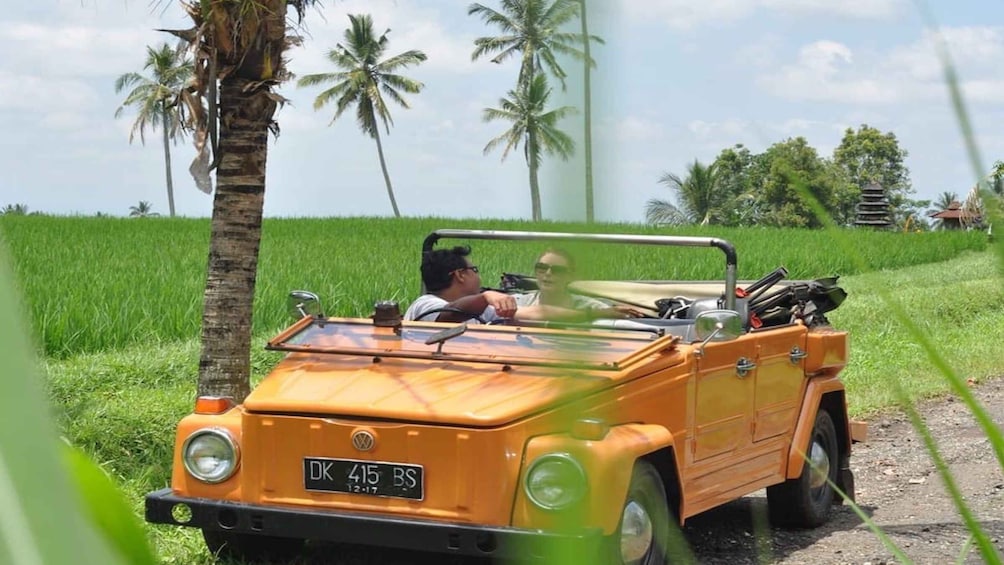 Picture 2 for Activity Bali: Vintage VW Jeep Countryside Safari