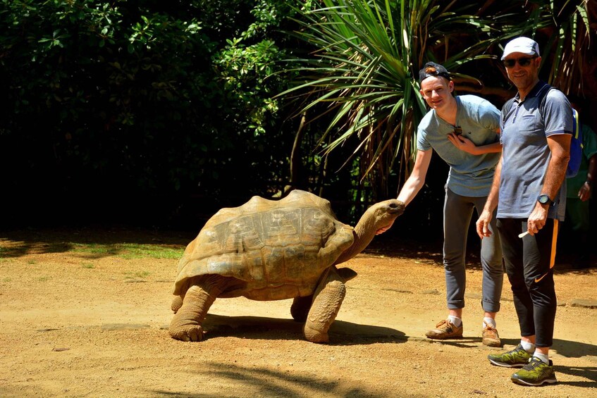 Picture 2 for Activity Mauritius: Full-Day Quad Bike Tour with Lunch