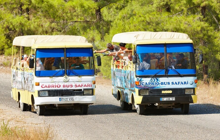 Picture 2 for Activity City of Side: Green Lake Boat Trip and Bus Safari with Lunch