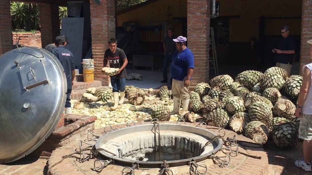 Picture 1 for Activity Private Colonial Tour Tequila and the Noria