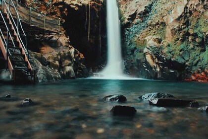 Von Guanacaste aus: Geführte Ganztageswanderung in Rincon de La Vieja