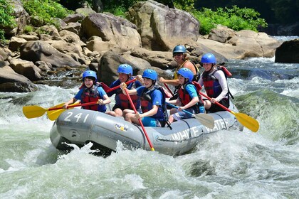 Bali : rafting sur la rivière Ayung et excursion dans la jungle avec transf...