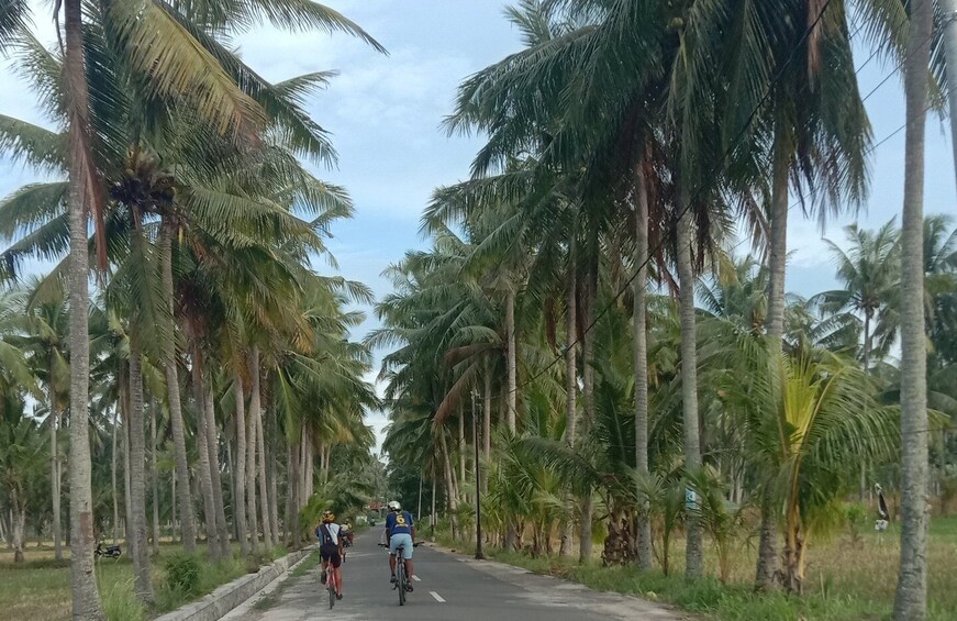 Picture 1 for Activity Lombok: Half Day City and Pengsong Countryside Biking Tour