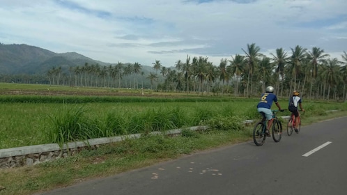 Lombok : Excursion à vélo d'une demi-journée en ville et dans la campagne d...