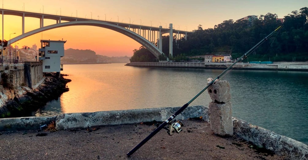 Picture 1 for Activity Porto: 3-Hour Bike Tour