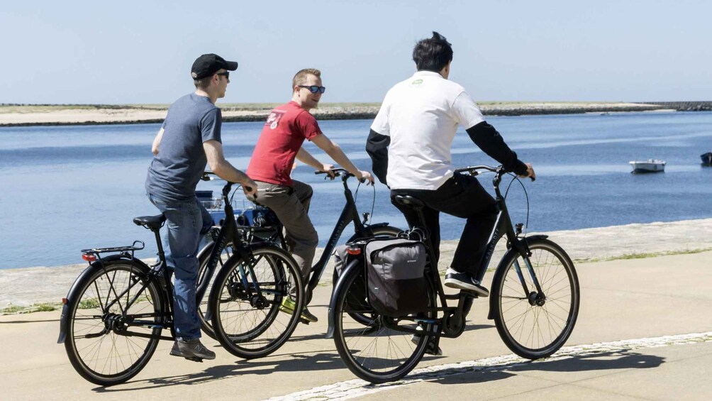 Picture 2 for Activity Porto: 3-Hour Bike Tour