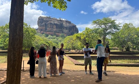 VIP All-inclusive Sigiriya Dambulla & National Park Tour