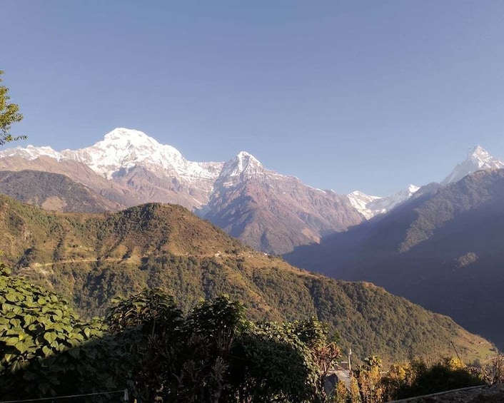 Picture 6 for Activity From Pokhara: Private 5-Day AnnapurnaBasecamp Trek