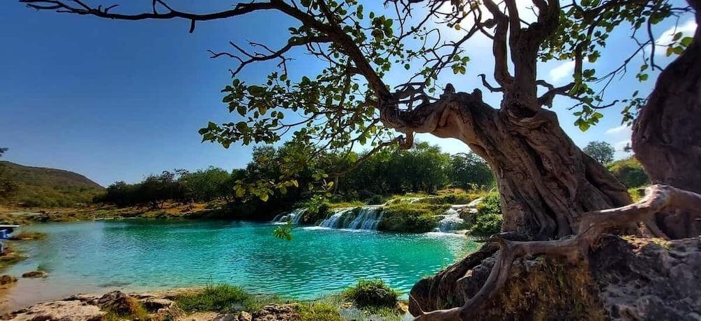 Private East Salalah Tour
