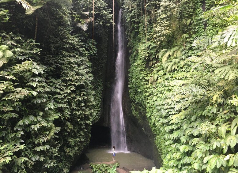 Picture 2 for Activity Bali waterfalls quest, discover 4 waterfalls in 1 day