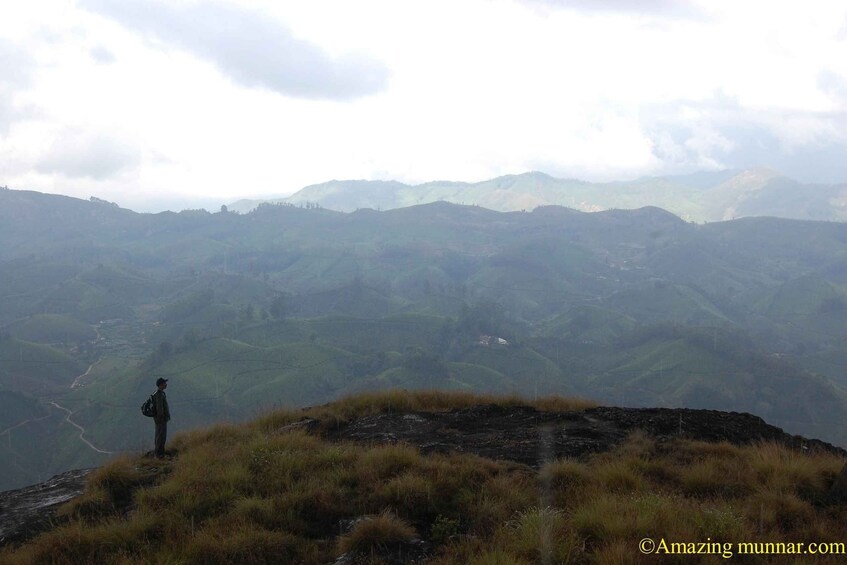 Picture 12 for Activity Private Munnar Tea Trek