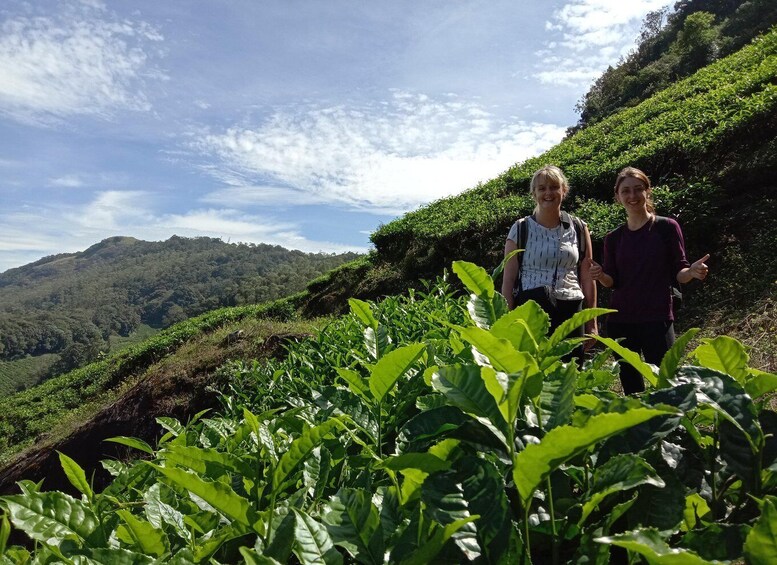 Munnar Tea Trek