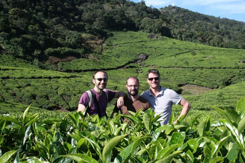 Picture 2 for Activity Munnar Tea Trek