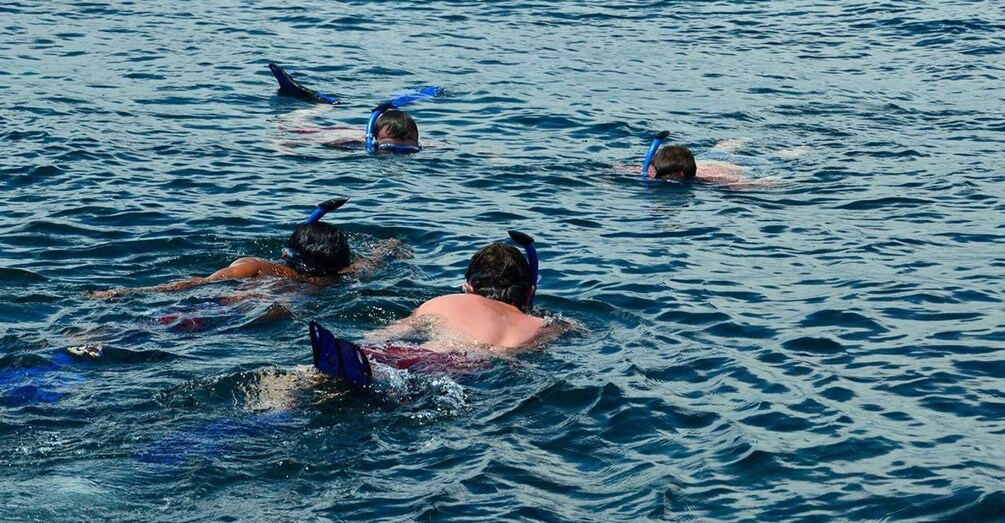 Picture 5 for Activity Nusa Penida Private Snorkeling