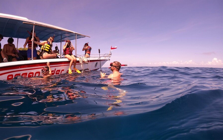 Picture 4 for Activity Nusa Penida Private Snorkeling