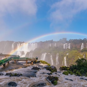 Iguazu Falls + Macuco Safari Boat + Transfer