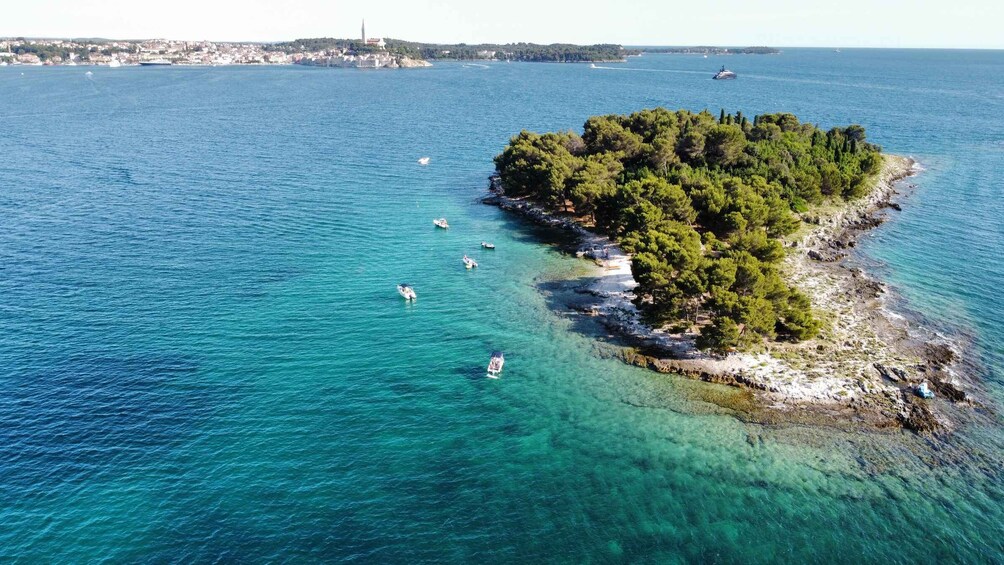 Picture 6 for Activity Rovinj: Rovinj Archipelago and South Coves Speedboat Tour