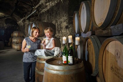 Wien: El-sykkeltur med vinsmaking