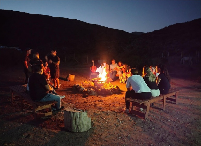 Picture 24 for Activity Mendoza: Horseback Riding in the Andes with Authentic BBQ