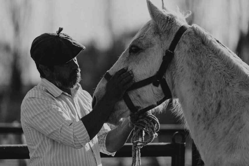 Picture 17 for Activity Mendoza: Horseback Riding in the Andes with Authentic BBQ