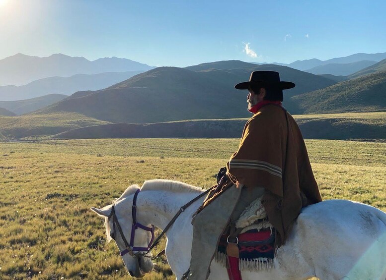 Picture 11 for Activity Mendoza: Horseback Riding in the Andes with Authentic BBQ