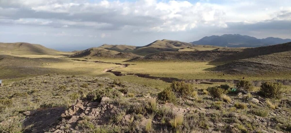 Picture 12 for Activity Mendoza: Horseback Riding in the Andes with Authentic BBQ