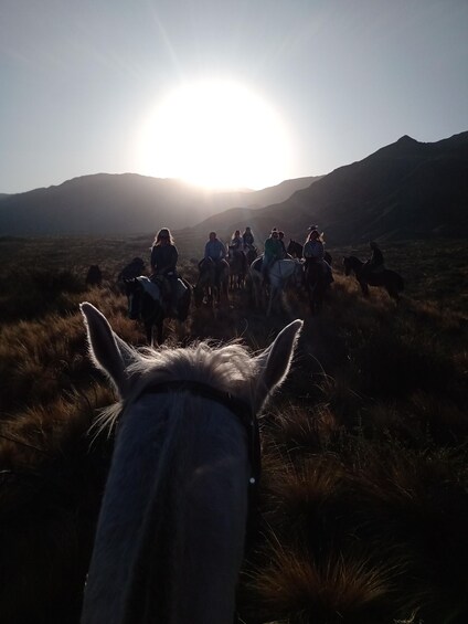 Picture 24 for Activity Mendoza: Horseback Riding in the Andes with Authentic BBQ