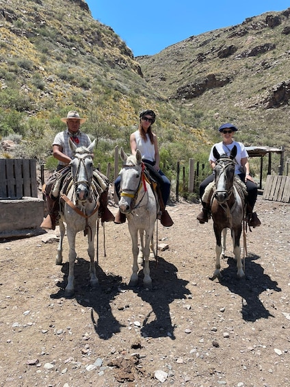 Picture 23 for Activity Mendoza: Horseback Riding in the Andes with Authentic BBQ