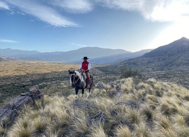 Mendoza: cabalgata por los Andes con auténtica barbacoa