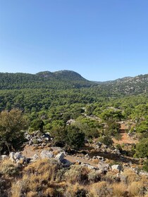 Hiking Kroustas Forest