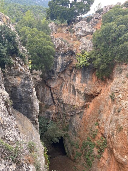 Picture 1 for Activity Hiking Kroustas Forest