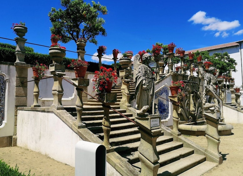 Castelo Branco: Culture and History Guided Tour with Museums
