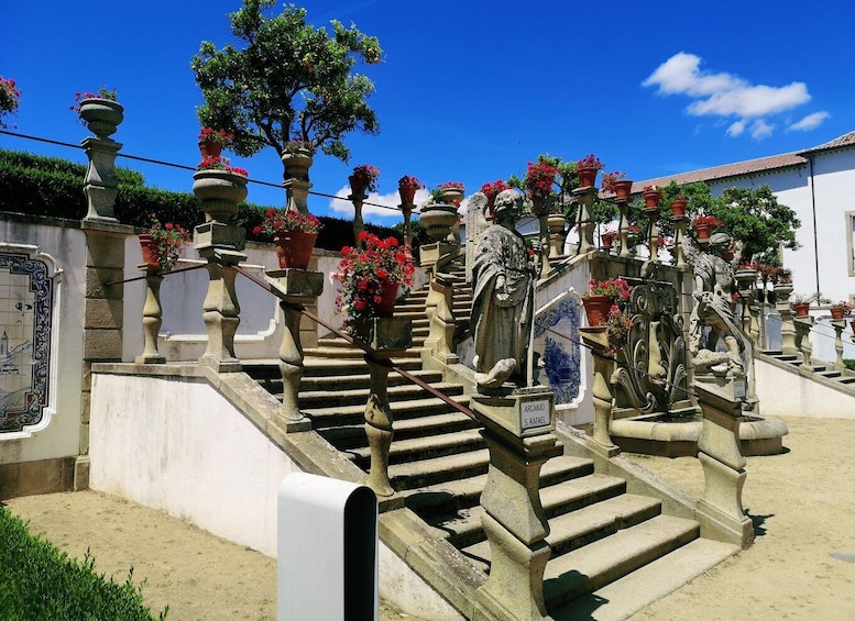 Castelo Branco: Culture and History Guided Tour with Museums