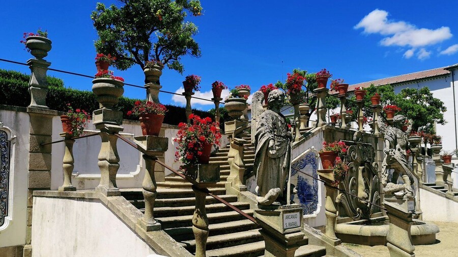 Castelo Branco: Culture and History Guided Tour with Museums