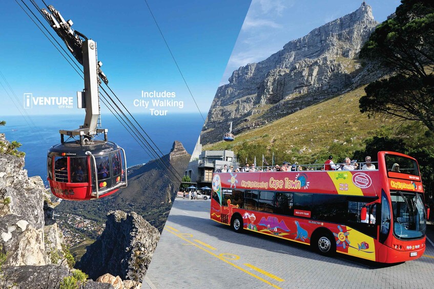 Cape Town: Table Mountain Cable Car, Hop-On Hop-Off Bus Tour