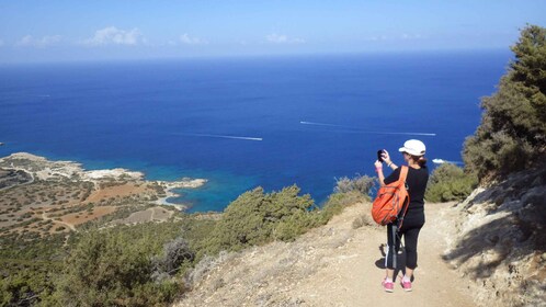 From Paphos: Akamas Panoramic Walk