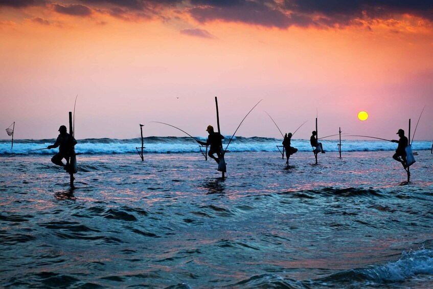 Picture 5 for Activity Galle and Bentota Day-Tour From Colombo