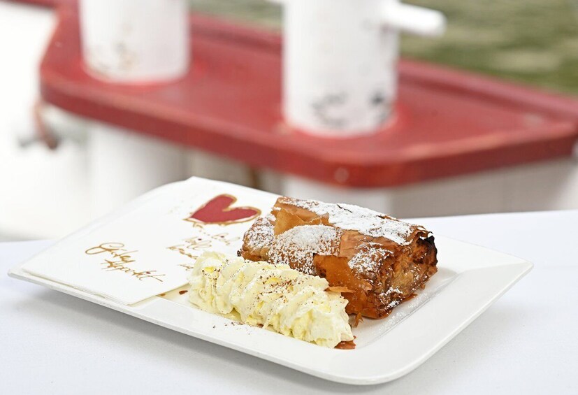 Picture 9 for Activity Vienna: Danube River Cruise w/ optional Viennese Specialties