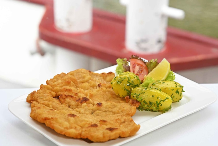 Picture 8 for Activity Vienna: Danube River Cruise w/ optional Viennese Specialties