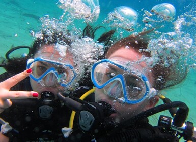 Mykonos: Scuba Diving Mini Programme for Beginners