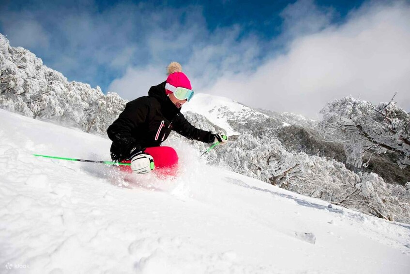 Picture 4 for Activity From Melbourne: Mt Buller Village and Resort Day Trip