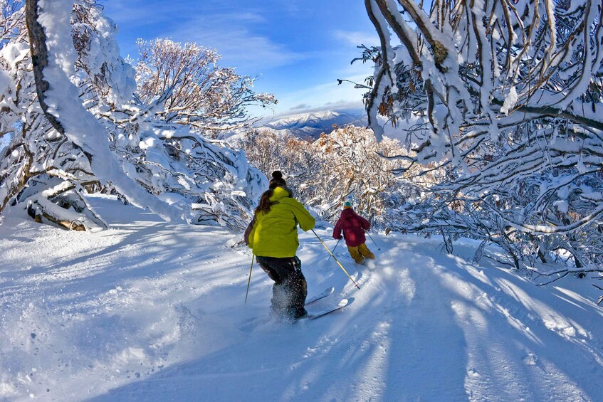 From Melbourne: Mount Buller Village and Resort Day Trip